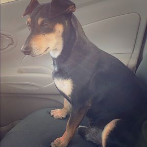 We accept offers and trades!!